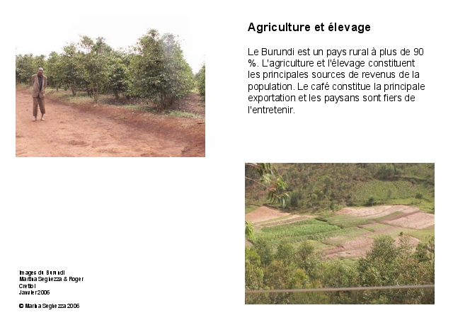 Agriculture et élevage