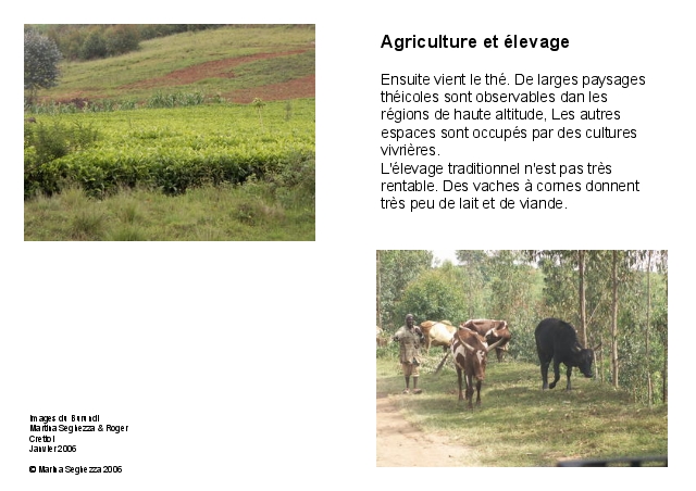 Agriculture et élevage II