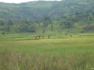 Rizières au fond de la vallée